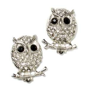    Gorgeous Silvertone Crystal Owl Lover Stud Earrings: Jewelry